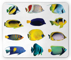 Collage of Sea Animals Mouse Pad