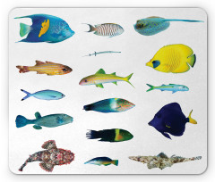 Marine Life Creatures Mouse Pad