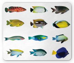 Sea Creatures Nautical Mouse Pad