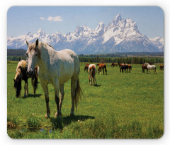 Horses Mouse Pad