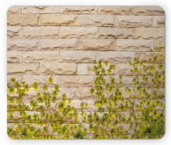 Brick Wall with Leaf Mouse Pad