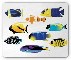 Cod Bonito Palette Mouse Pad