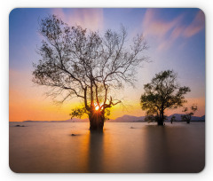 Autumn Trees View Habitat Mouse Pad