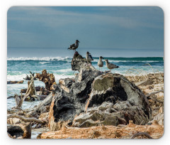 Driftwood Shore Seagull Mouse Pad