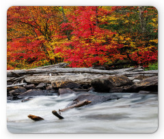 Fall Forest Driftwood Mouse Pad