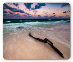 Driftwood on Beach Mouse Pad