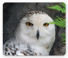 Magician Pet White Owl Mouse Pad