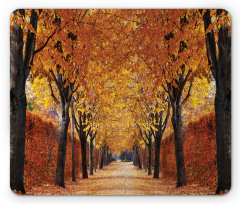 Pathway in the Woods Mouse Pad