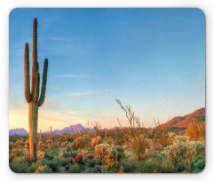 Cactus Sunset Landscape Mouse Pad