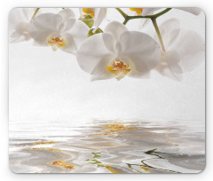 Magical Delicate Orchids Mouse Pad