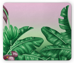 Exotic Orchid Blooms Mouse Pad