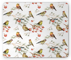 Colorful Forest Birds Mouse Pad