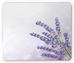 Fresh Herb Plant Posy Mouse Pad