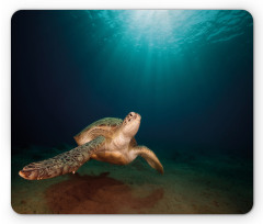 Green Turtle Sunbeam Mouse Pad