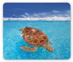 Chelonia Water Surface Mouse Pad