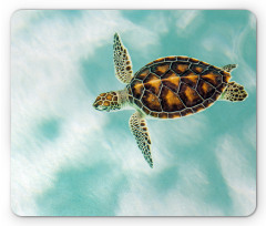 Endangered Baby Turtle Mouse Pad