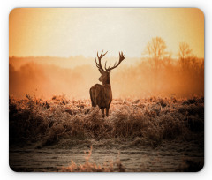 Deer Morning Sun Mouse Pad