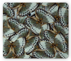 Butterflies Jungle Queen Mouse Pad