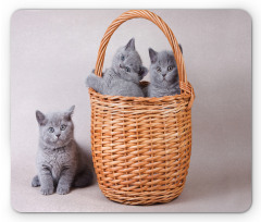 British Cats in Basket Mouse Pad