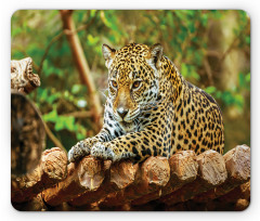 Jaguar on Wood Wild Feline Mouse Pad