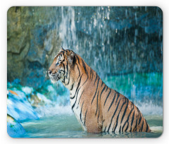 Feline Animal in Pond Mouse Pad