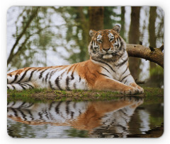 Siberian Mammal Warm Day Mouse Pad