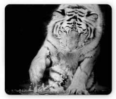 Large Cat Plays in Water Mouse Pad