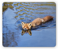 Fox Swimming in River Mouse Pad