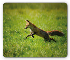 Jumping Animal Fresh Grass Mouse Pad