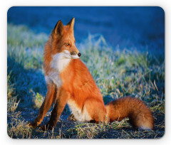 Serene Cold Autumn Field Mouse Pad