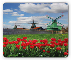 Red Color Tulips Field Mouse Pad