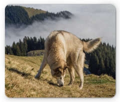 Purebred Dog Mouse Pad