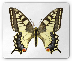 Old Papilio Mouse Pad