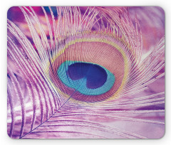 Close up Peacock Plume Mouse Pad