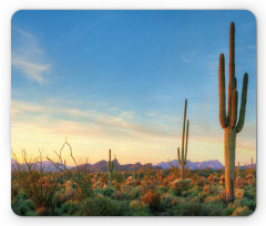 Sonoran Desert Sunset Mouse Pad