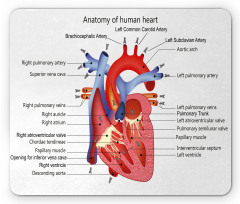 Human Body Organ Mouse Pad