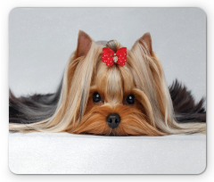 Lying Dog Ribbon Love Mouse Pad