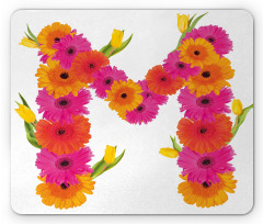 Gerbera Flowers Tulips Mouse Pad