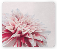 Close up Floral Blossom Mouse Pad