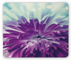 Blooming Floral Motifs Mouse Pad