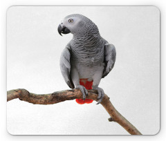 Parrot on a Branch Mouse Pad