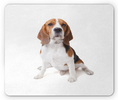 Puppy Dog Friend Posing Mouse Pad