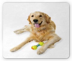 Pet Dog Toy Mouse Pad