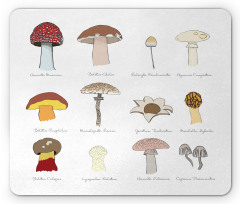 Blusher Boletus Sketch Mouse Pad