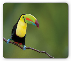 Keel Billed Toucan Mouse Pad