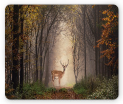 Deer Mystical Forest Mouse Pad