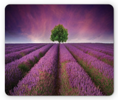 Lavender Fields and Tree Mouse Pad