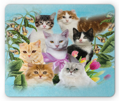 Cats Feline Domestic Mouse Pad