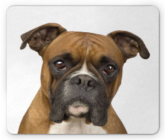 Purebred Dog Front View Mouse Pad