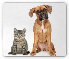 Cat Dog Animal Friends Mouse Pad